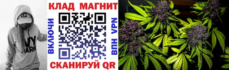 Какие есть наркотики Александровское Марихуана  Меф  Альфа ПВП  ГАШ  Кокаин 