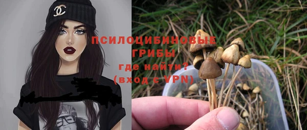 герыч Куйбышев